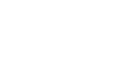 Promohire worked with-SHEIN